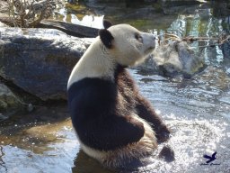 Tiergarten Schönbrunn am 05.03.2026